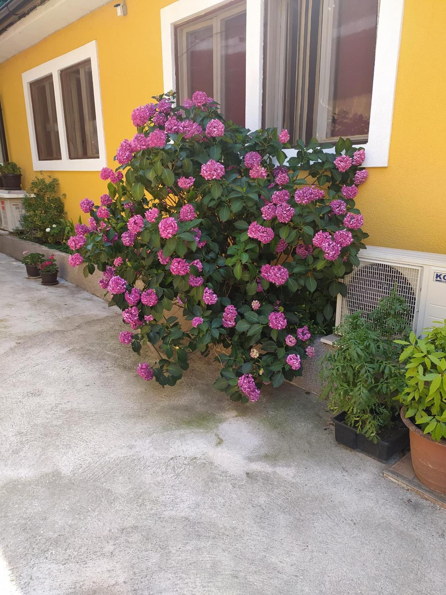 Hotel In Kala Rijeka Zewnętrze zdjęcie